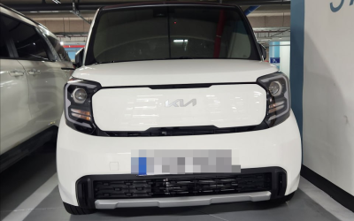 기아 더 뉴 레이