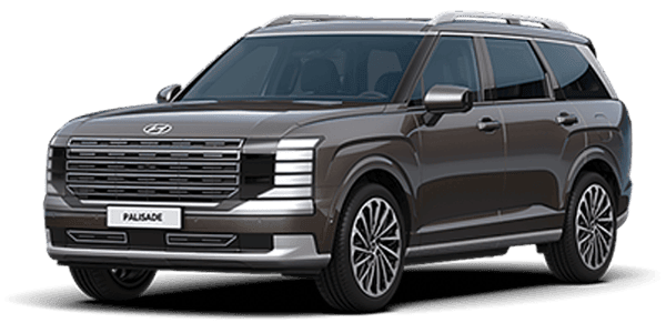 현대 디 올 뉴 펠리세이드