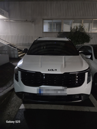 기아 더 뉴 카니발