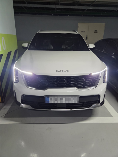 기아 더 뉴 카니발